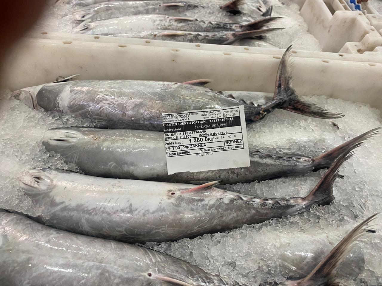 Bleu Food Mar processing facility