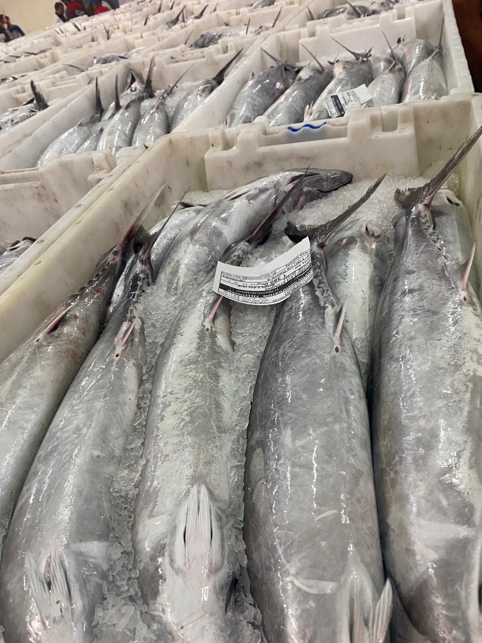 Bleu Food Mar quality control